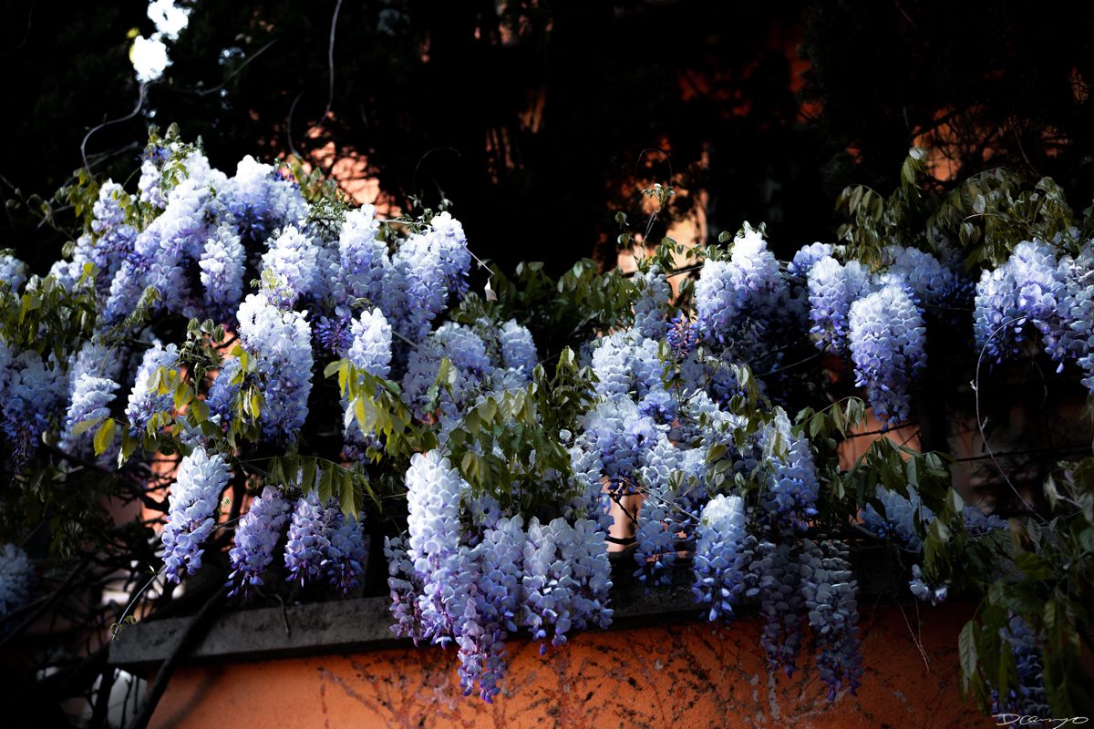 Photos from Venice, Florence, Tuscany, in Spring of 2022.